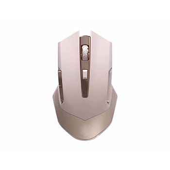 WM1091
